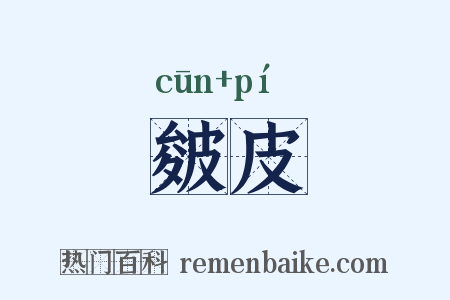 皴皮是什么意思的图片